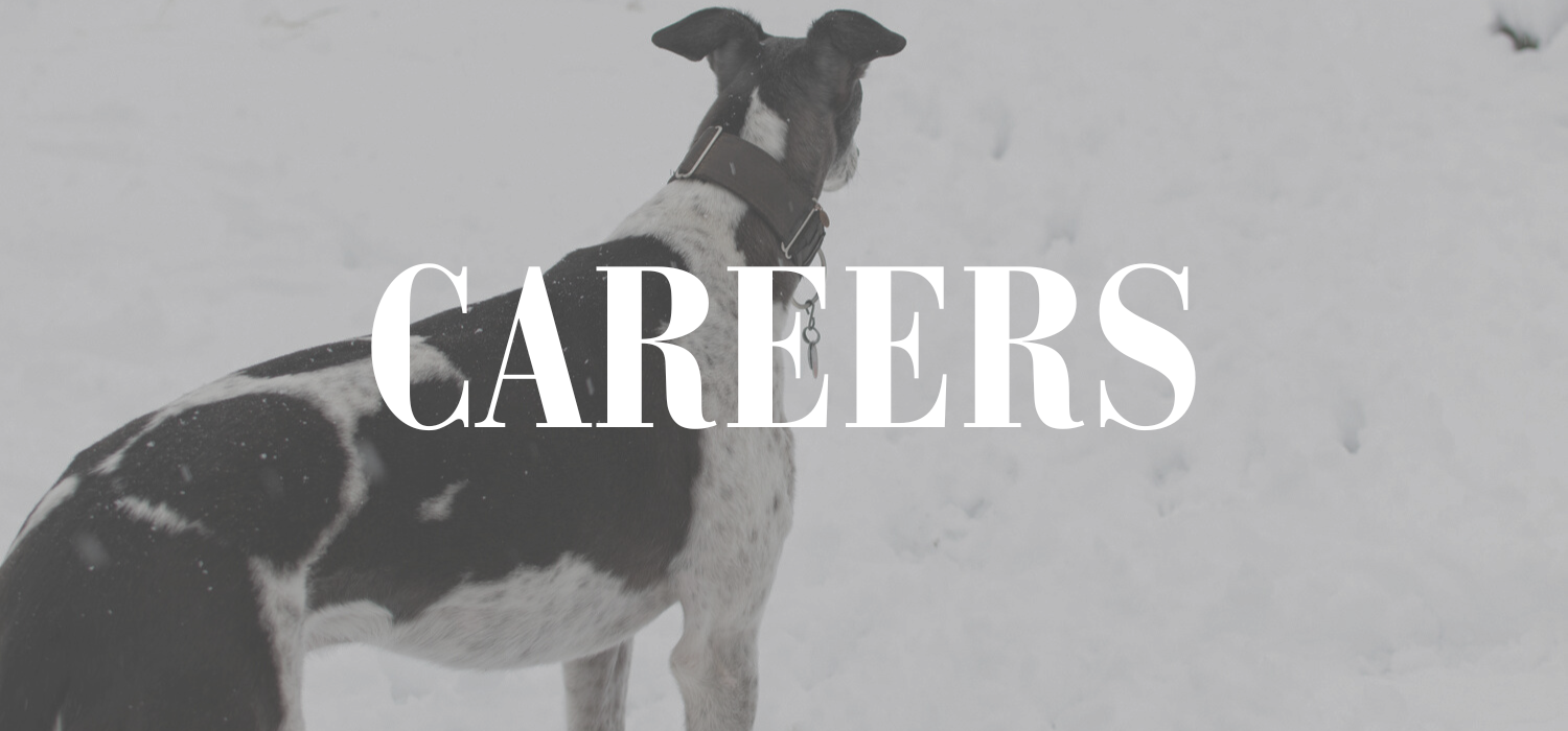 CAREERS