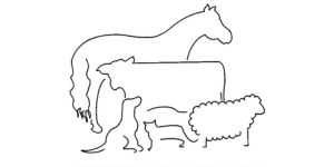 Swannack Veterinary Services Logo